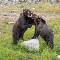 Online Games Casino Fun and Excitement.2