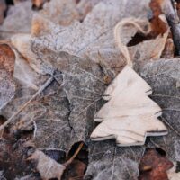 Raging Bull Casino No Deposit Bonus 2018